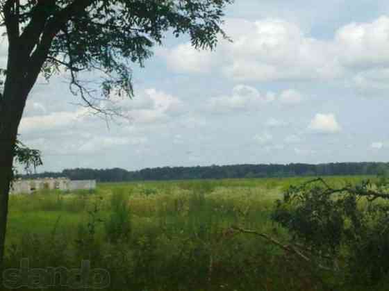 Продаж земельної ділянки 20 соток Григорівка (Баришівський район)