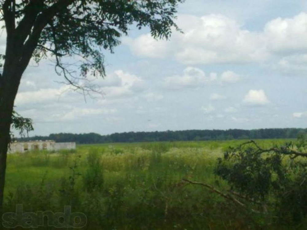 Продаж земельної ділянки 20 соток Григорівка (Баришівський район) - фото 1