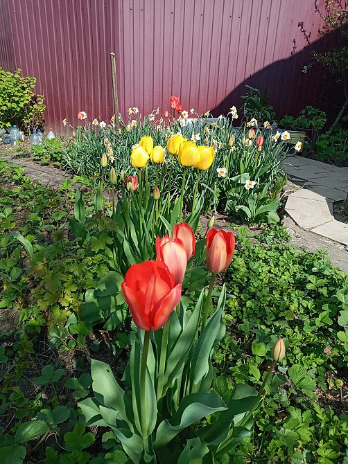 Продам квартиру на земле на Толбухина/Мегодом Одеса - фото 9