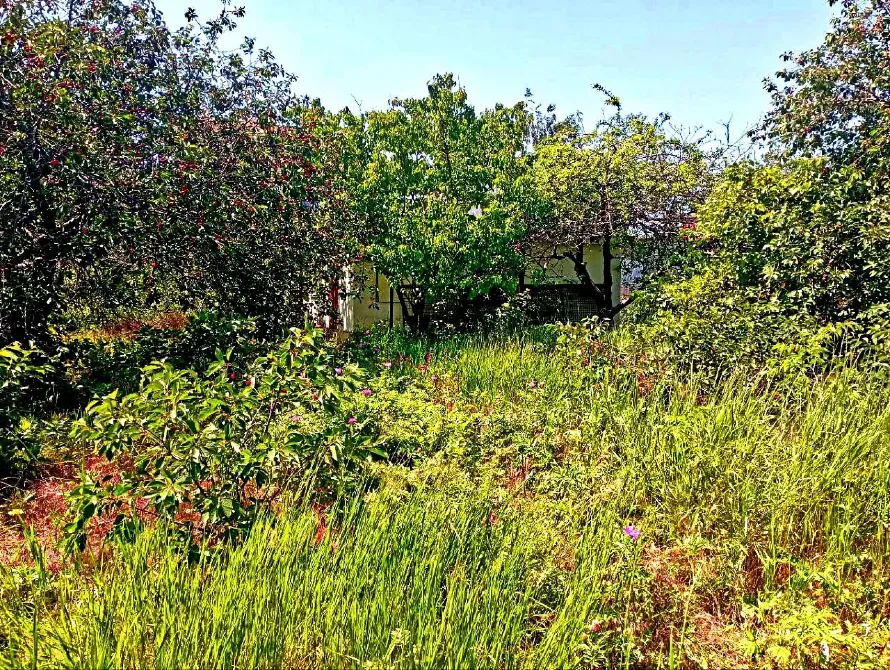 For sale land plot For the construction of a private residential building area 4.9 ares Мала Садова вулиця, 19 Odessa - photo 8