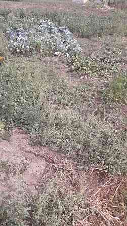 Продаж земельної ділянки 25 соток на вул. Слобожанська 