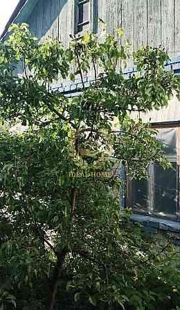 Продаж Будинок 4-кімнатний 