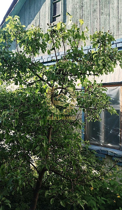 Продаж Будинок 4-кімнатний  - фото 5