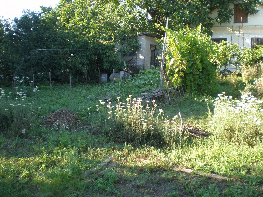 Продам  участок 8,5 соток с  домом на  10 ст. Б.Фонтана . Odessa - photo 1