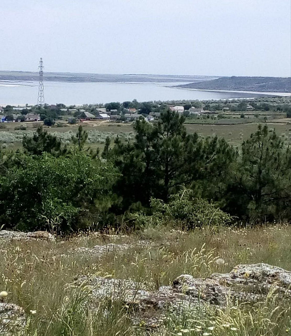 Дом в Ковалевке с уникальным винным  погребом (1905 г.) Ковалівка - фото 3