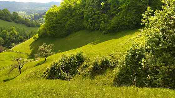 Продаж Будинок Болехів