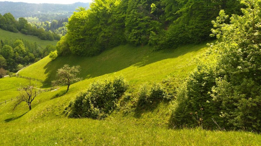 Продаж Будинок Болехів - фото 2