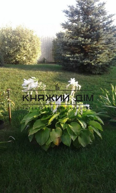 Продам дом 300 м2 в с. Ходосеевка Киево-Святошинского р-на. № 229279 Ходосівка - фото 17