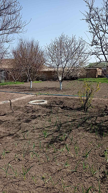 Продаж земельної ділянки 0 соток на ул. Тупиковый 1-й пер, 15 Одесса - изображение 14