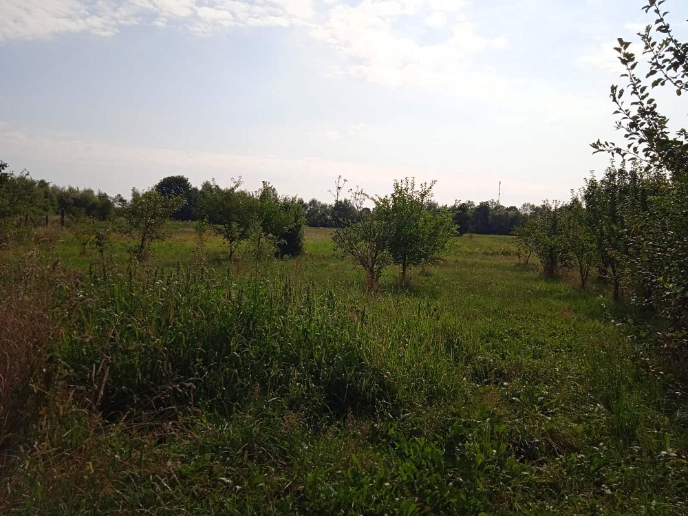 Продаж Будинок на Копана Іванівці - фото 11