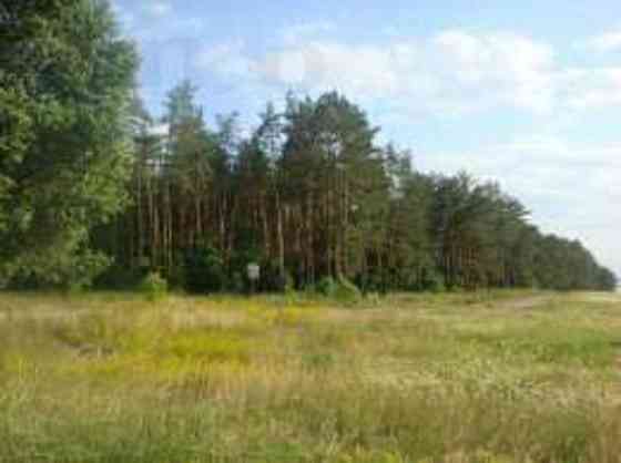 Продаж земельної ділянки 12 соток 