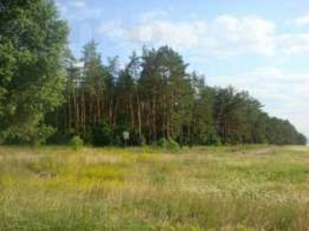 Продаж земельної ділянки 12 соток  - фото 1