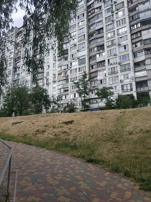 Оренда Квартира 1-кімнатна, 7/16 поверх на Павла Тичини, 20 Київ - фото 2