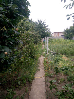 Продаж земельної ділянки 12 соток на ул. Дружбы (ул. Кангуна), 17 Нерубайське - фото 1