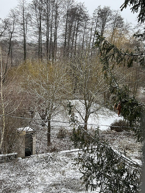 Продаж Будинок Селище (Козятинський район) - изображение 9