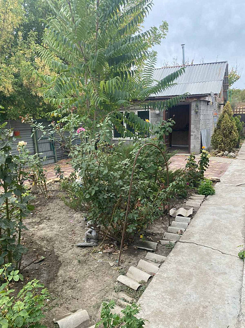 Продам дом с газом и ремонтом в с.Донская Балка (50 км от Одессы, Березовский р-н) Донська Балка - фото 18