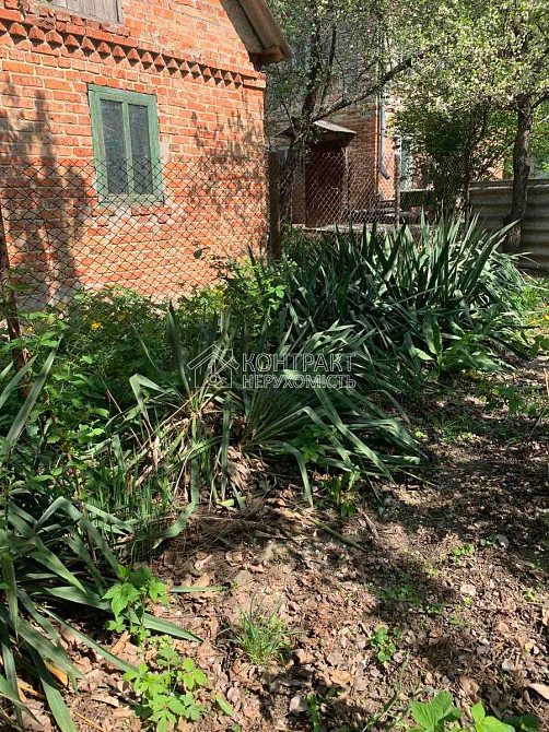 Продаж Будинок 5-кімнатний на вул. Новоолешківська Песочин - изображение 3