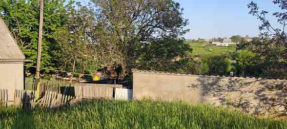 Продается усадьба с.  Большая Балка. Velyka Balka