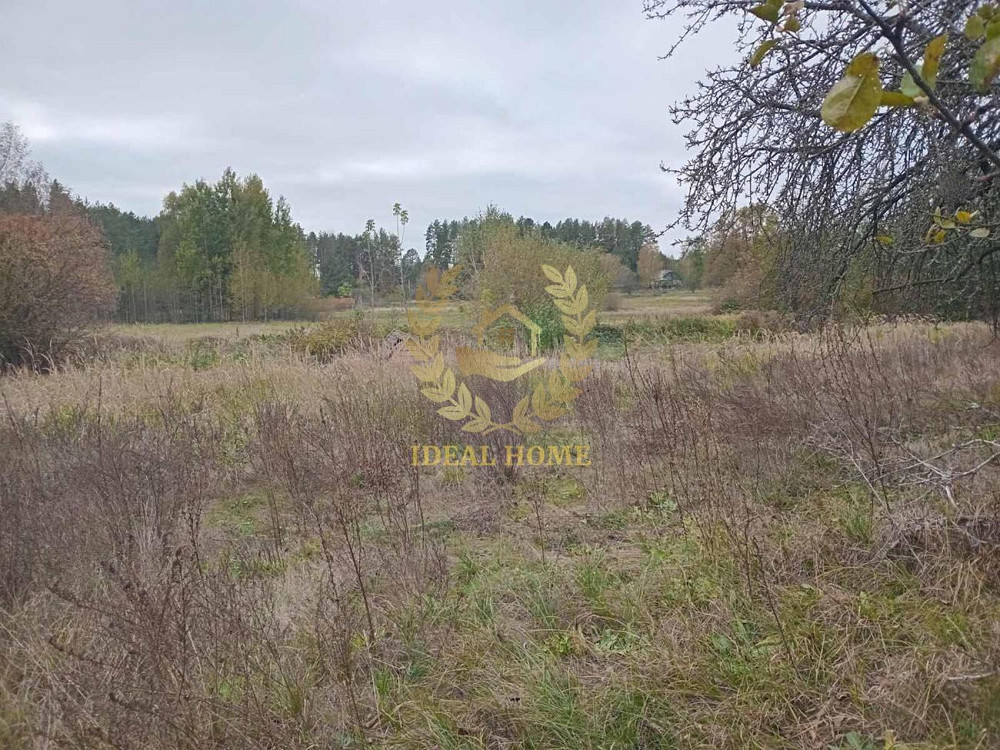 Продам будинок з великою земельною ділянкою в с.Заруддя  - фото 15