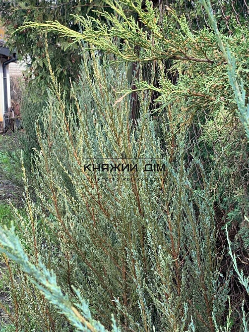 Продаж будинку 140 м2 з ремонтом, Русанівські сади. № 2211731 Київ - фото 4