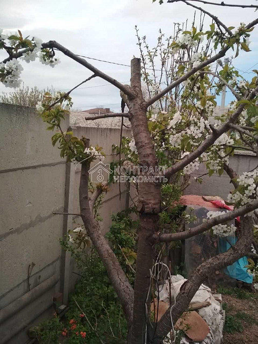 Продаж Будинок 2-кімнатний на вул. Верхня Гиївська Kharkiv - photo 13