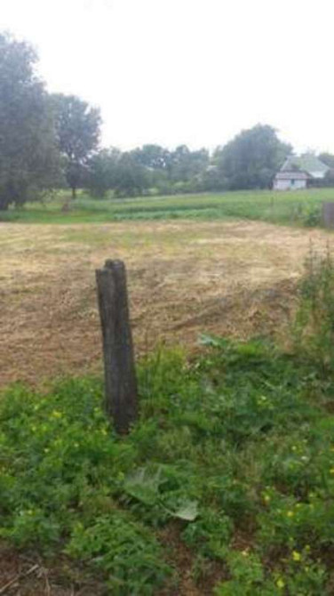 Продаж земельної ділянки 16.4 соток на Калинина  - фото 4