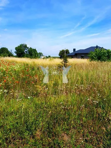 Продажа земельного участка  площадь 9.72 сот Богата вулиця  - изображение 2