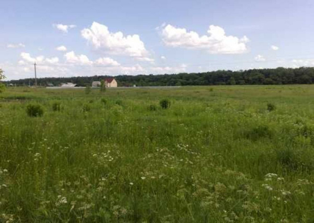 Продаж земельної ділянки 25 соток  - фото 1