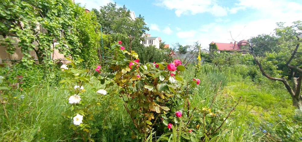 1-комнатная квартира с отдельным входом, ул. Градоначальницкая Одеса - фото 6