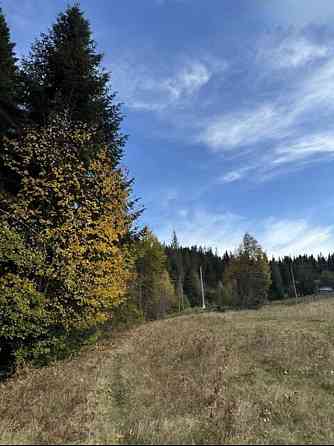 Продаж земельної ділянки 53.33 соток 