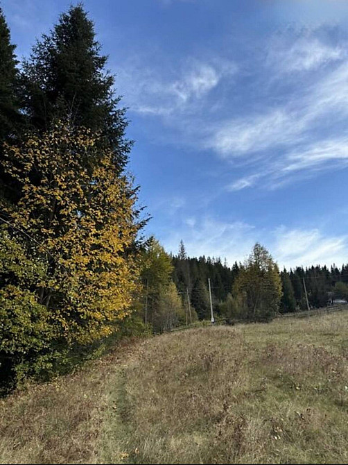 Продаж земельної ділянки 53.33 соток  - photo 5