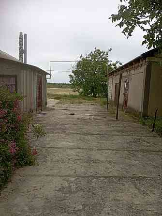 Продам дом в с.Розалевка (Роздельнянский р-н) Rozalivka (Kotovskyi raion)