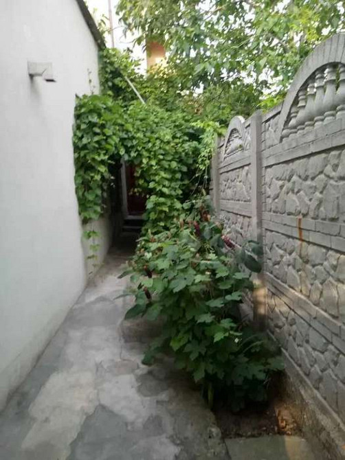 Продам капитальный дом в Черноморке. Одеса - фото 11