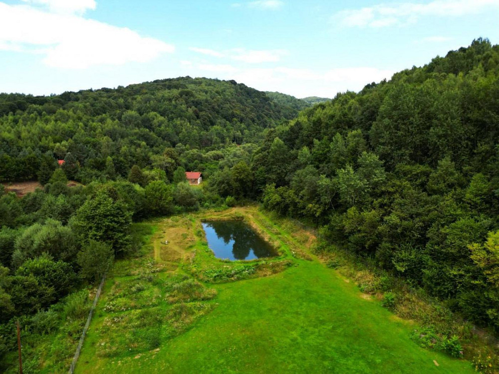 Продаж земельної ділянки 44 соток Верхне Синьовидне - изображение 6