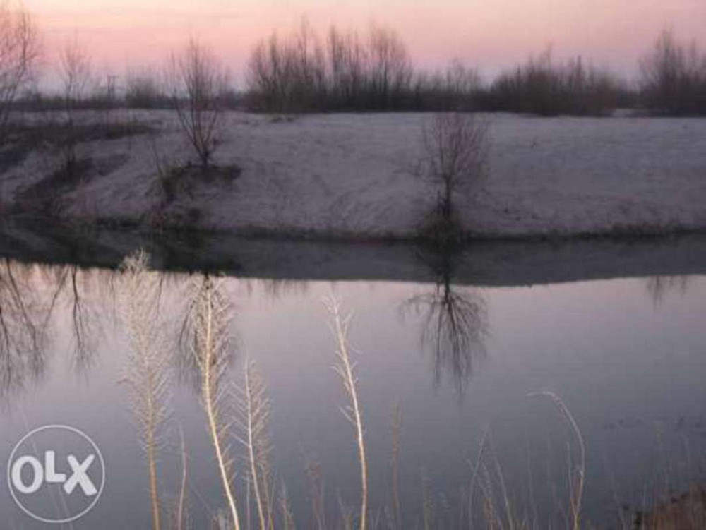 Продаж земельної ділянки 12 соток  - фото 3