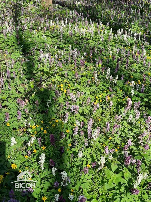 Продаж земельної ділянки 7 соток на Котляревського вулиця Тернопіль - фото 1