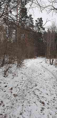 Продаж земельної ділянки 10 соток на Зарічани(в лісі) Zhytomyr