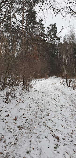 Продаж земельної ділянки 10 соток на Зарічани(в лісі) Zhytomyr - photo 2