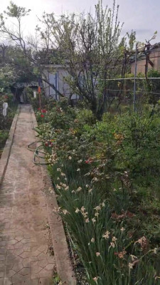 Продаж земельної ділянки 0.1 соток на СК Степное ( ул. 29-я улица), 1685 Красносилка - изображение 18