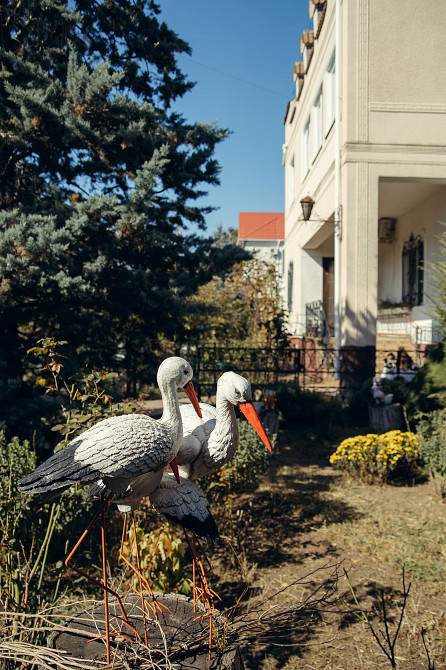 Дом-усадьба у моря и Дубовой рощи — место, где хочется жить Одеса - фото 14