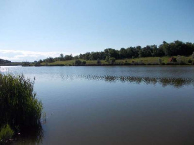 Продаж земельної ділянки 6 соток на ул. Виноградна, 34 Молодіжне - фото 20