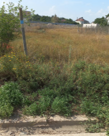 Продаж земельної ділянки 0 соток на переулок Дачный, 2-А Велика Балка