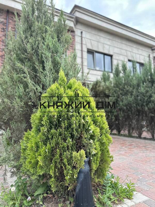 Без комісії Продаж 2х кімнатної квартири ЖК Liverpool House КОД № 21146859 Київ - фото 9