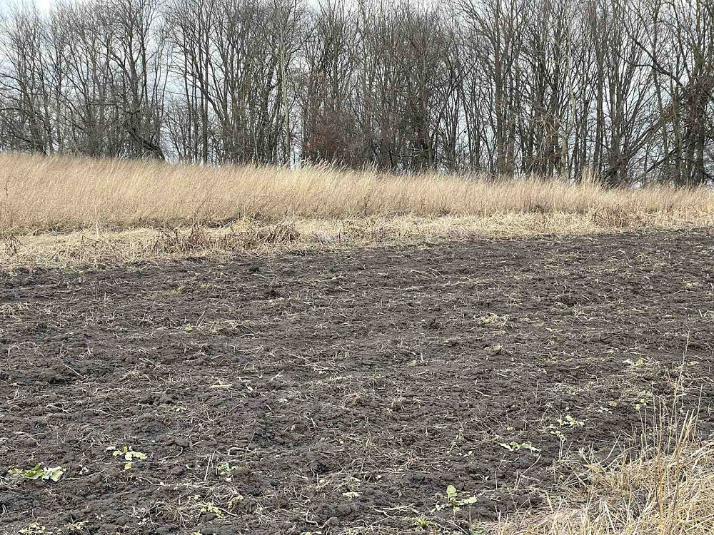 Продаж земельної ділянки 10 соток Подгородное - изображение 3