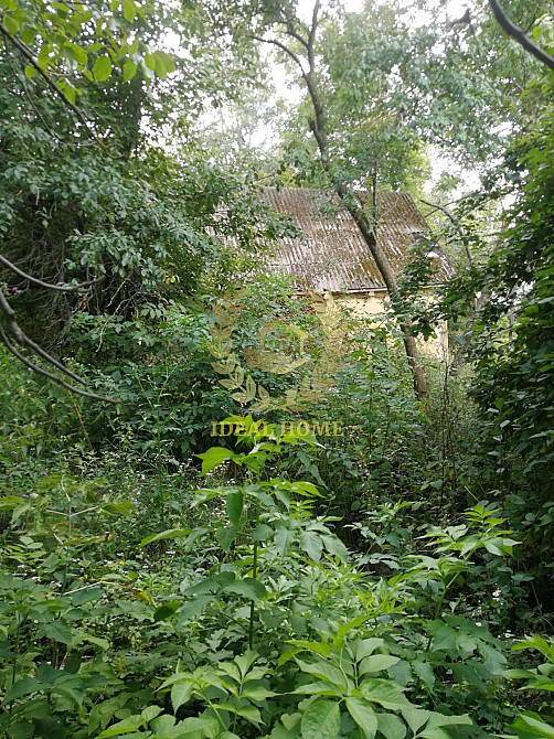 Продаж земельної ділянки 30 соток на Кольцевая ул. Ustymivka - photo 5