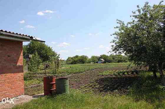 Продаж 1-поверховий Будинок з ділянкою 20 сот 56 кв.м  на Авиаторов Вільна Тарасівка