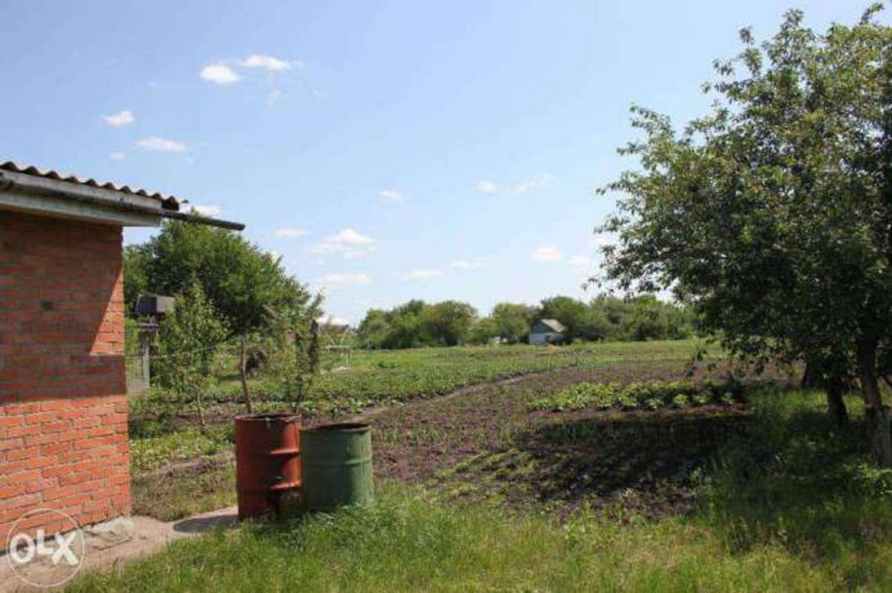 Продаж 1-поверховий Будинок з ділянкою 20 сот 56 кв.м  на Авиаторов Вільна Тарасівка - фото 4