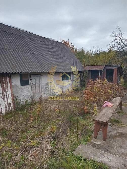 Продам будинок з великою земельною ділянкою в с.Заруддя  - фото 12