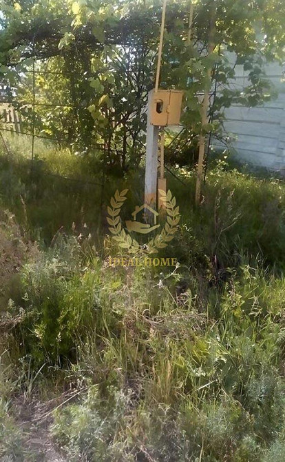 Продаж будинку в с. Воропаїв, 2 кімнати, 41 м², 46 соток Воропаїв - фото 7