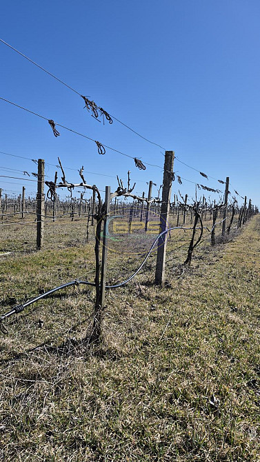 Продаж земельної ділянки 7.72 га на вул. 1 Овідіополь - фото 10